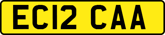 EC12CAA