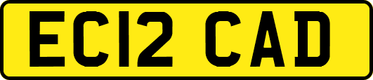 EC12CAD