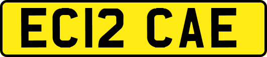 EC12CAE