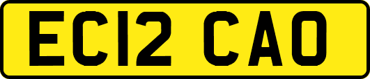 EC12CAO