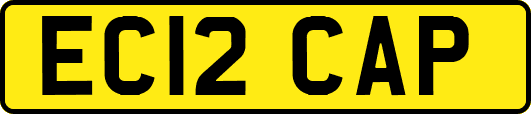 EC12CAP