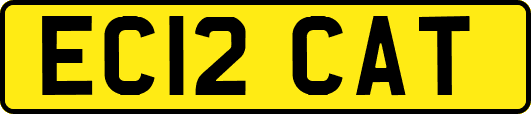 EC12CAT