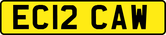 EC12CAW