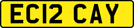 EC12CAY