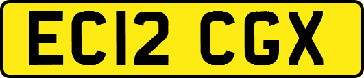 EC12CGX