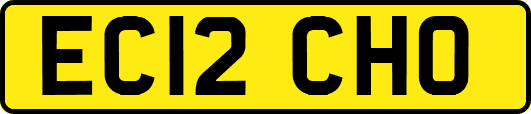EC12CHO