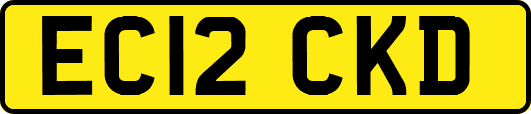 EC12CKD