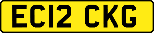 EC12CKG