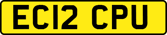 EC12CPU
