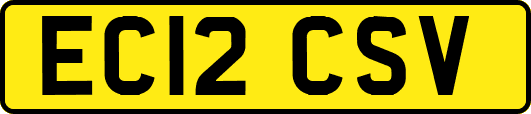 EC12CSV