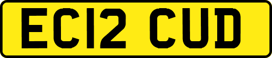 EC12CUD