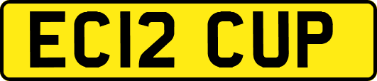 EC12CUP