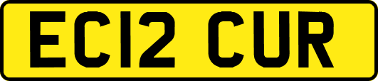 EC12CUR