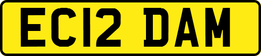 EC12DAM