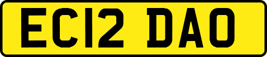 EC12DAO