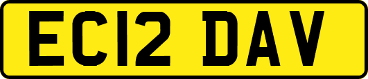 EC12DAV