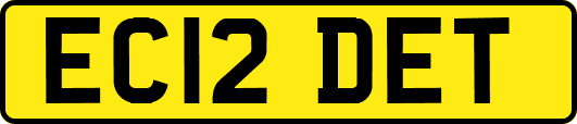 EC12DET