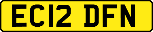 EC12DFN