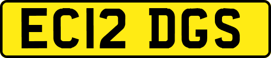 EC12DGS