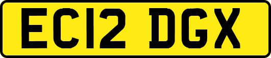 EC12DGX