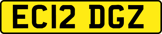 EC12DGZ
