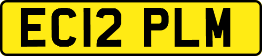 EC12PLM