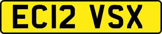 EC12VSX