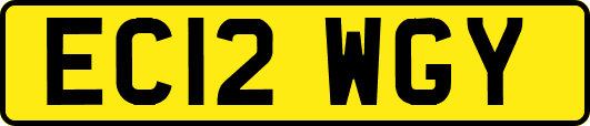 EC12WGY