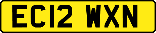 EC12WXN