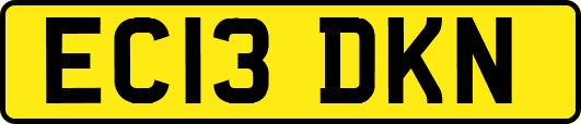 EC13DKN