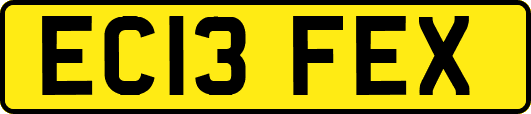 EC13FEX