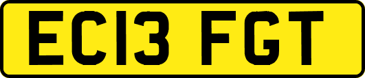 EC13FGT