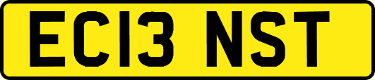EC13NST