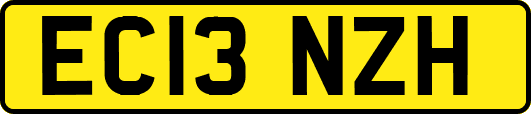 EC13NZH
