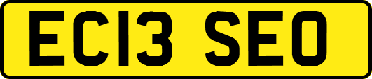EC13SEO