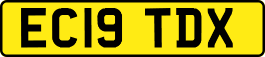 EC19TDX