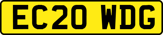 EC20WDG