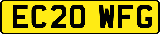 EC20WFG