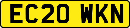 EC20WKN