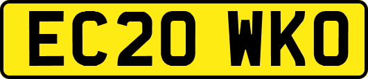 EC20WKO