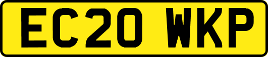 EC20WKP