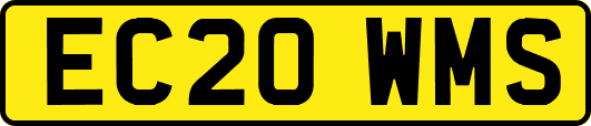 EC20WMS