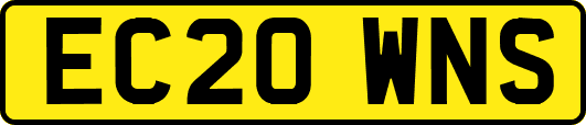 EC20WNS