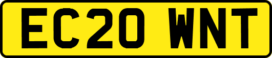 EC20WNT
