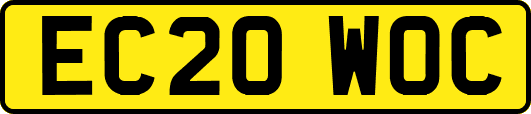 EC20WOC