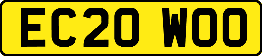 EC20WOO