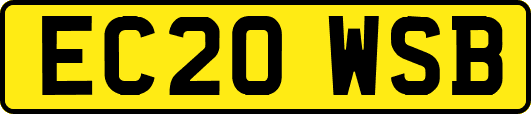 EC20WSB
