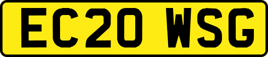 EC20WSG