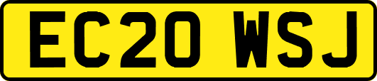 EC20WSJ