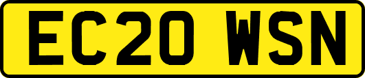 EC20WSN